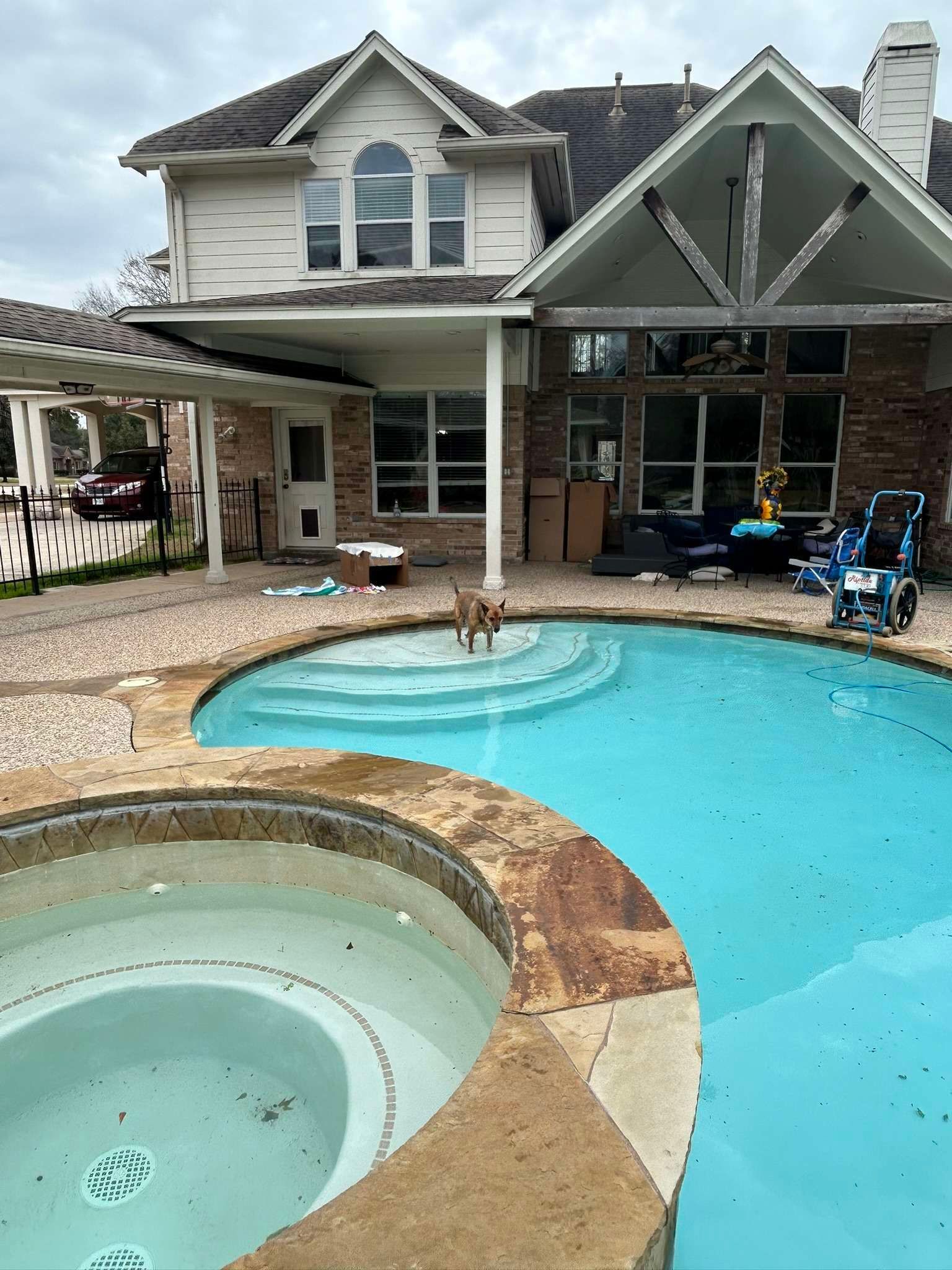 Backyard with a pool, spa, and a two-story house. A small dog stands on the pool steps.