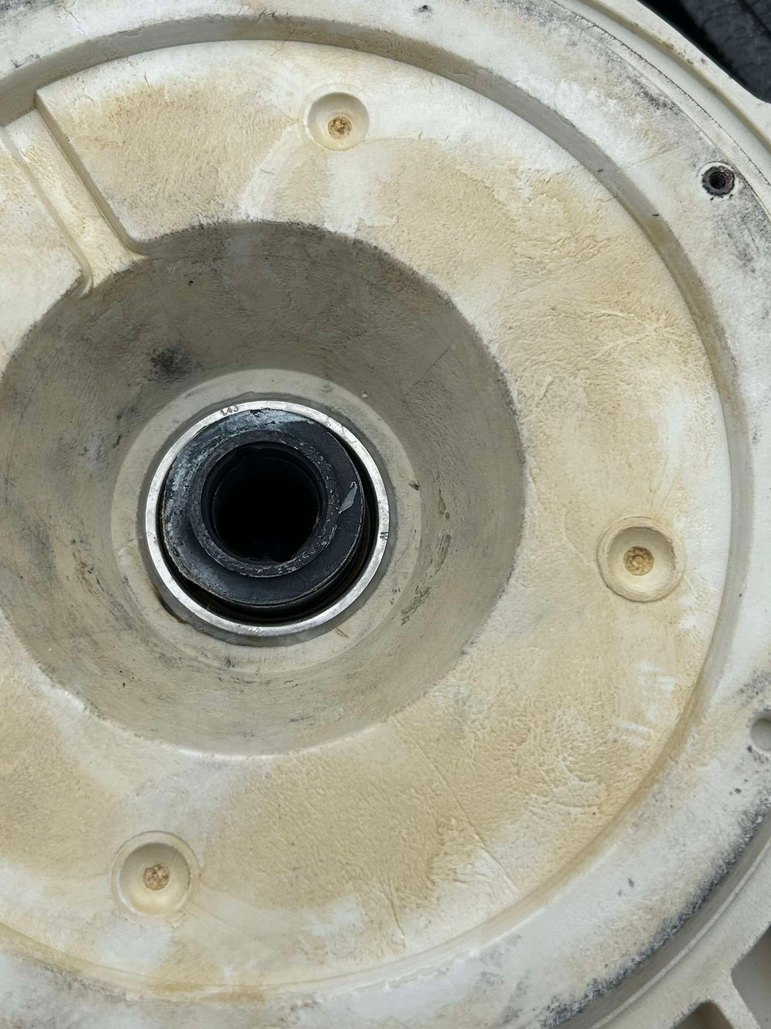 Close-up of a white pool pump component, showing the central impeller housing and mounting holes.