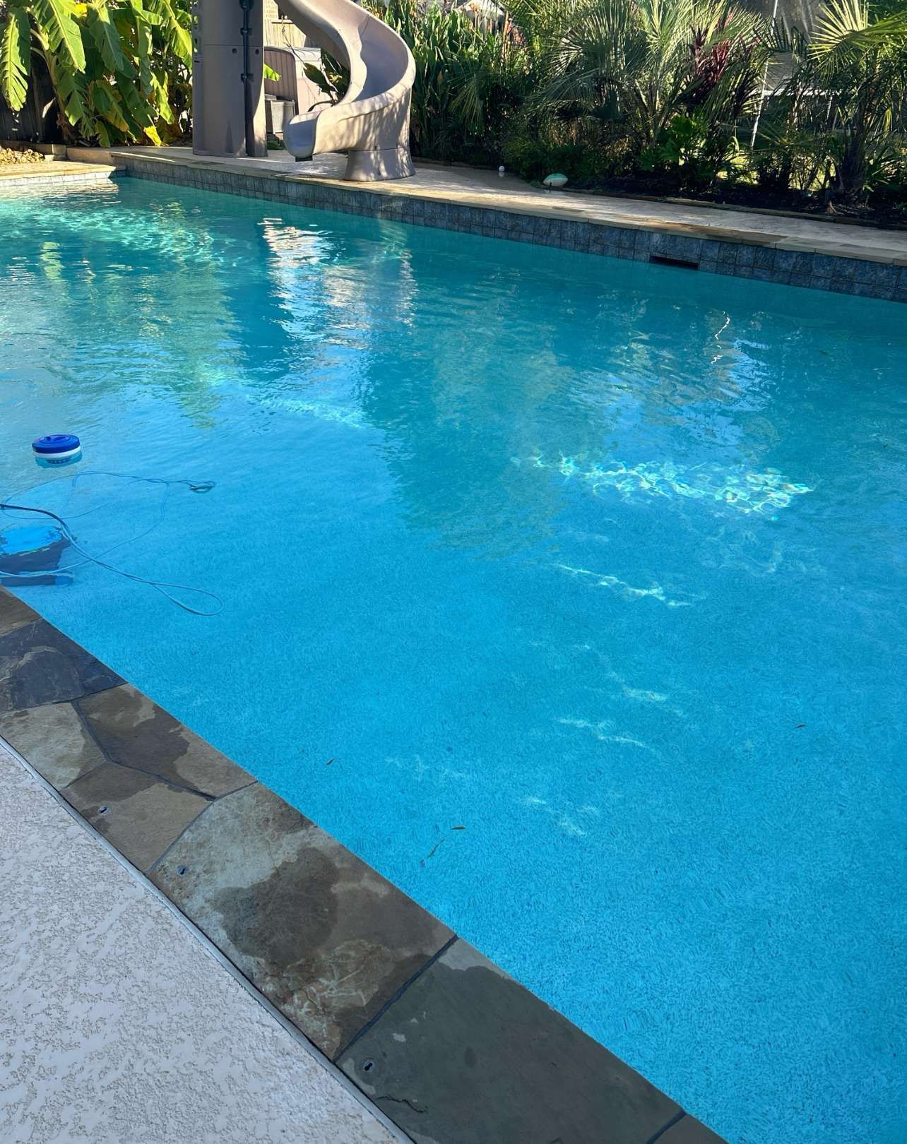 A blue swimming pool with a stone edge, a slide, and plants in the background.