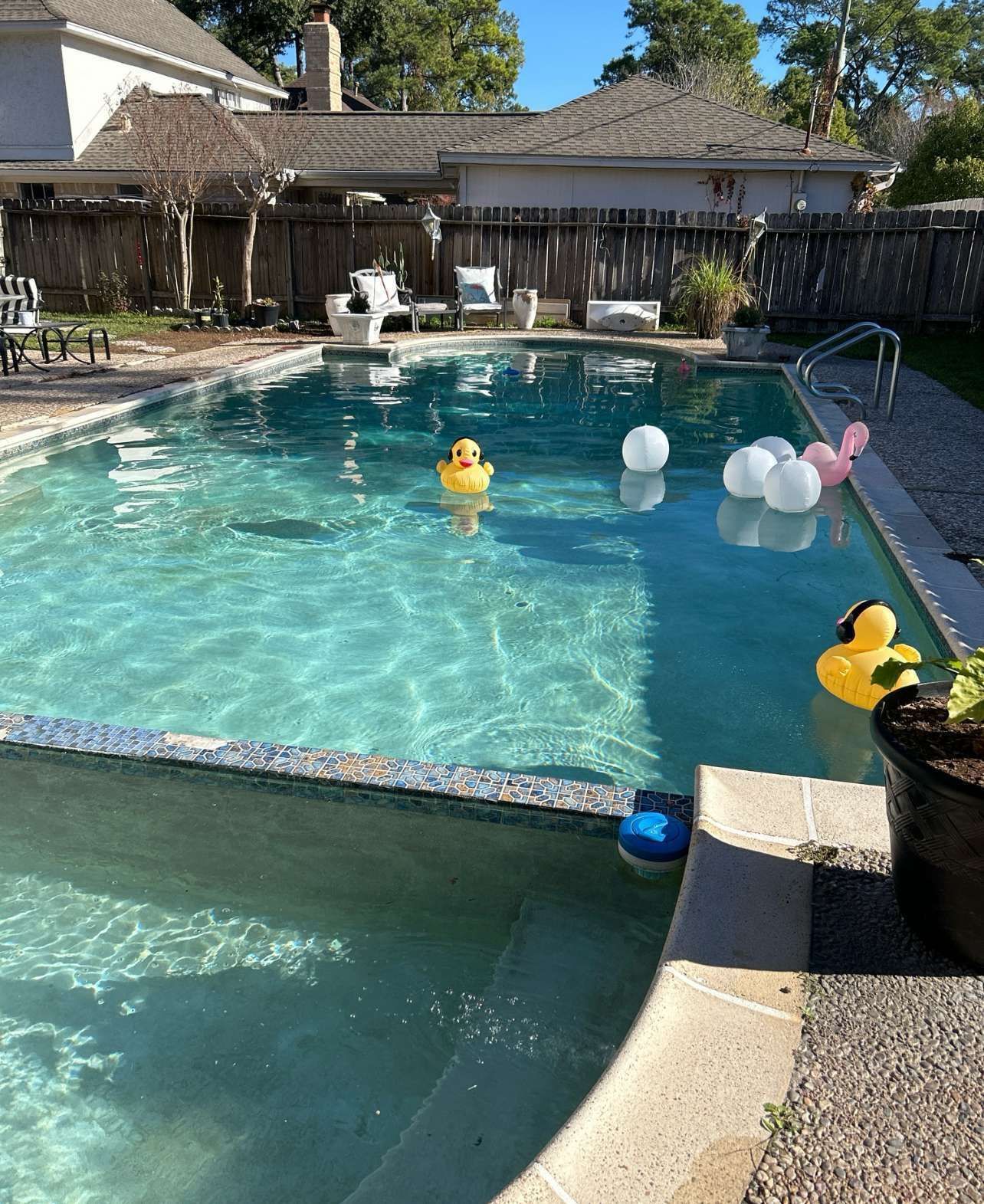 A pool with ducks and balloons floating in it.  Outdoor setting, sunny day.