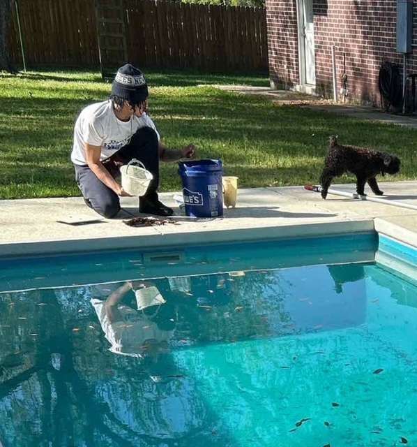 Person kneeling by a pool, putting something from a bucket into a smaller container. Dog walking nearby.
