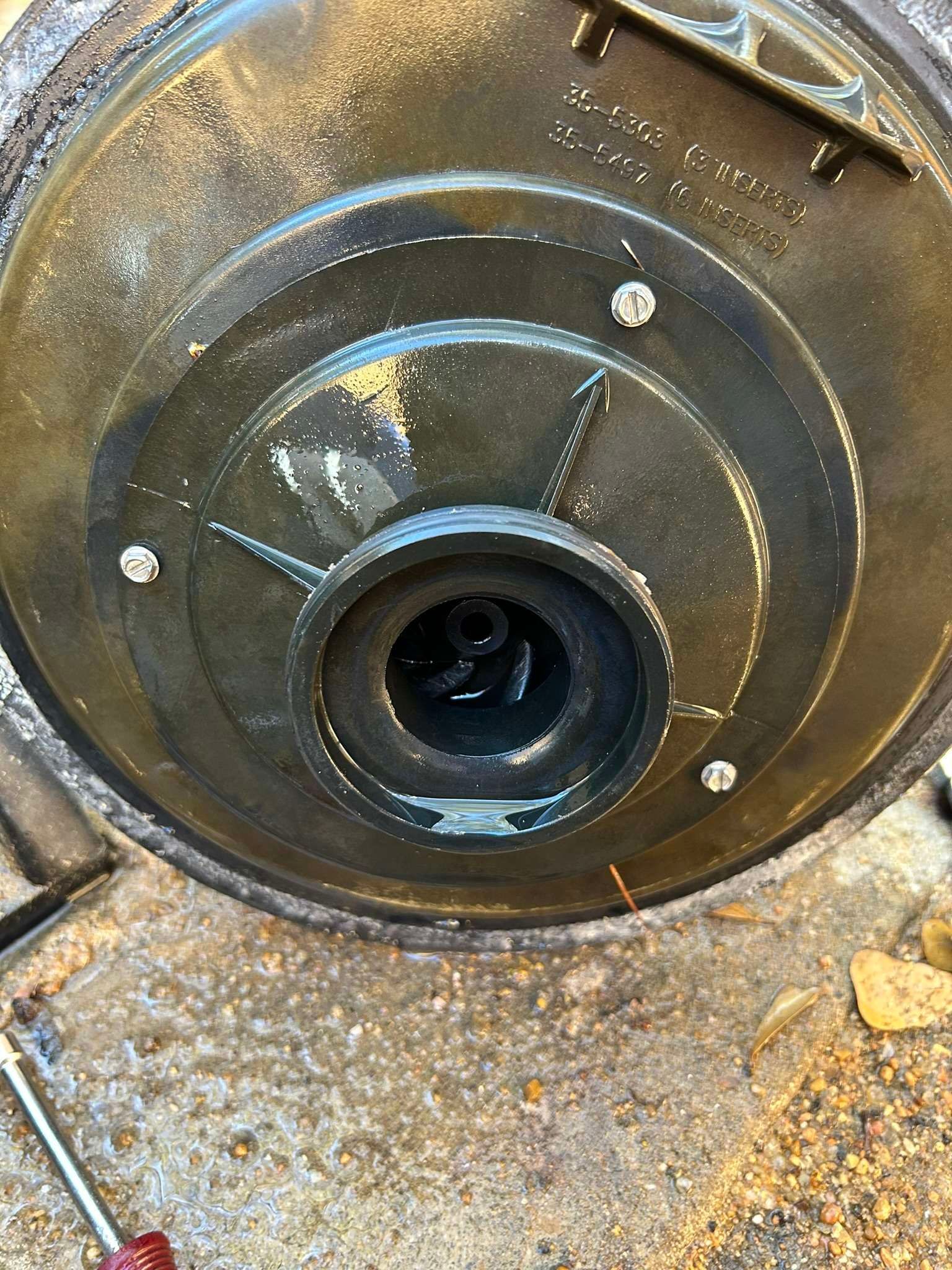 Close-up of a pool pump housing. The open housing shows the pump impeller and mounting screws.