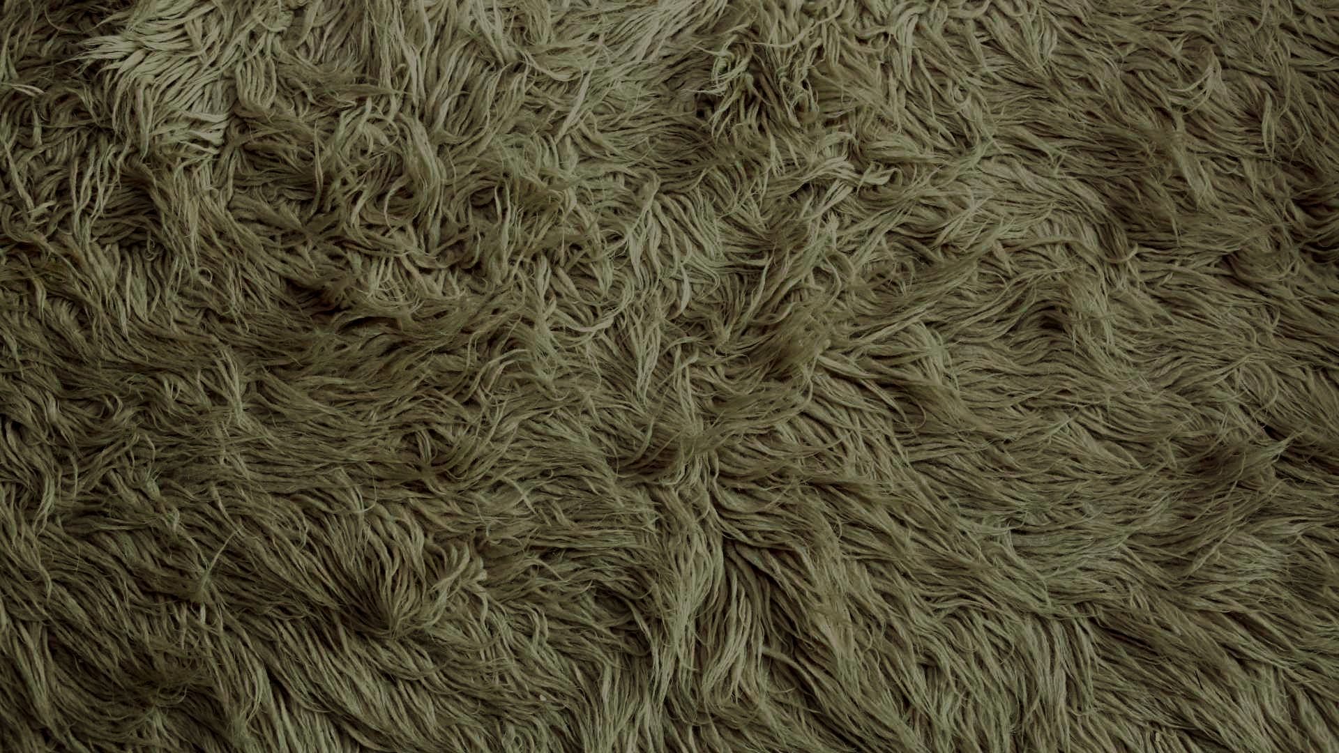 comment nettoyer un tapis de salon à poil long