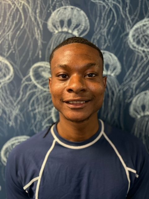 A man in a blue shirt is smiling in front of a wall with jellyfish on it