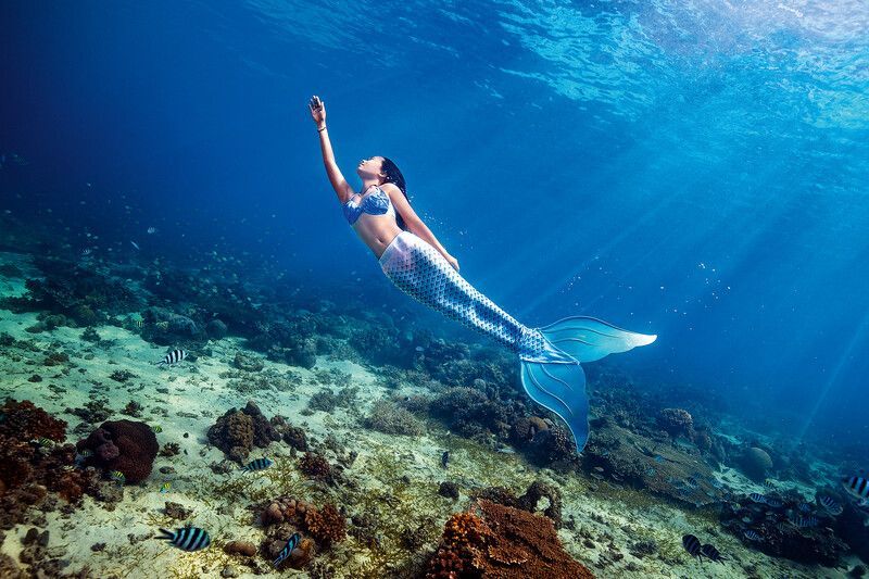 A mermaid is swimming in the ocean near a coral reef.