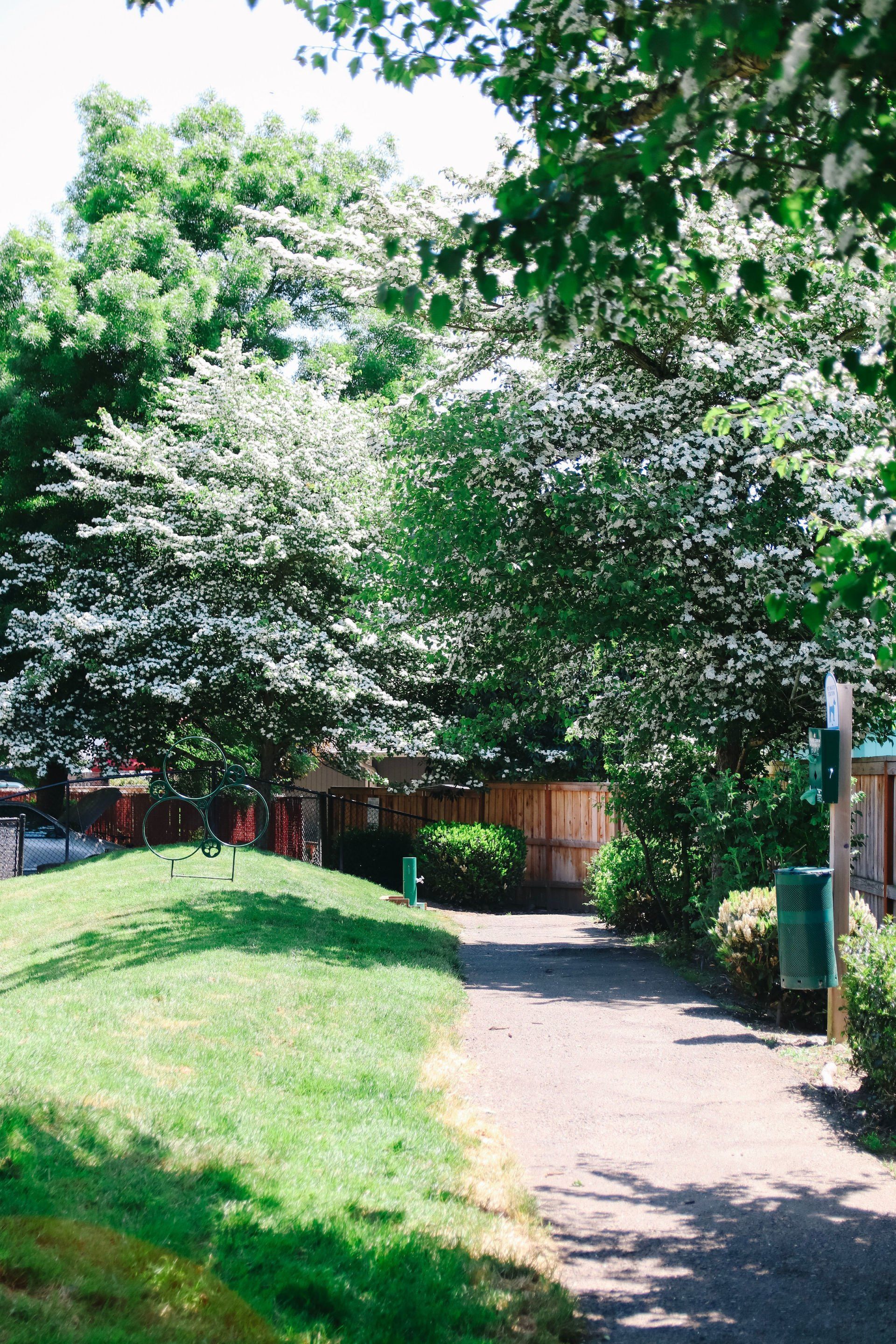 Powell Court Gallery