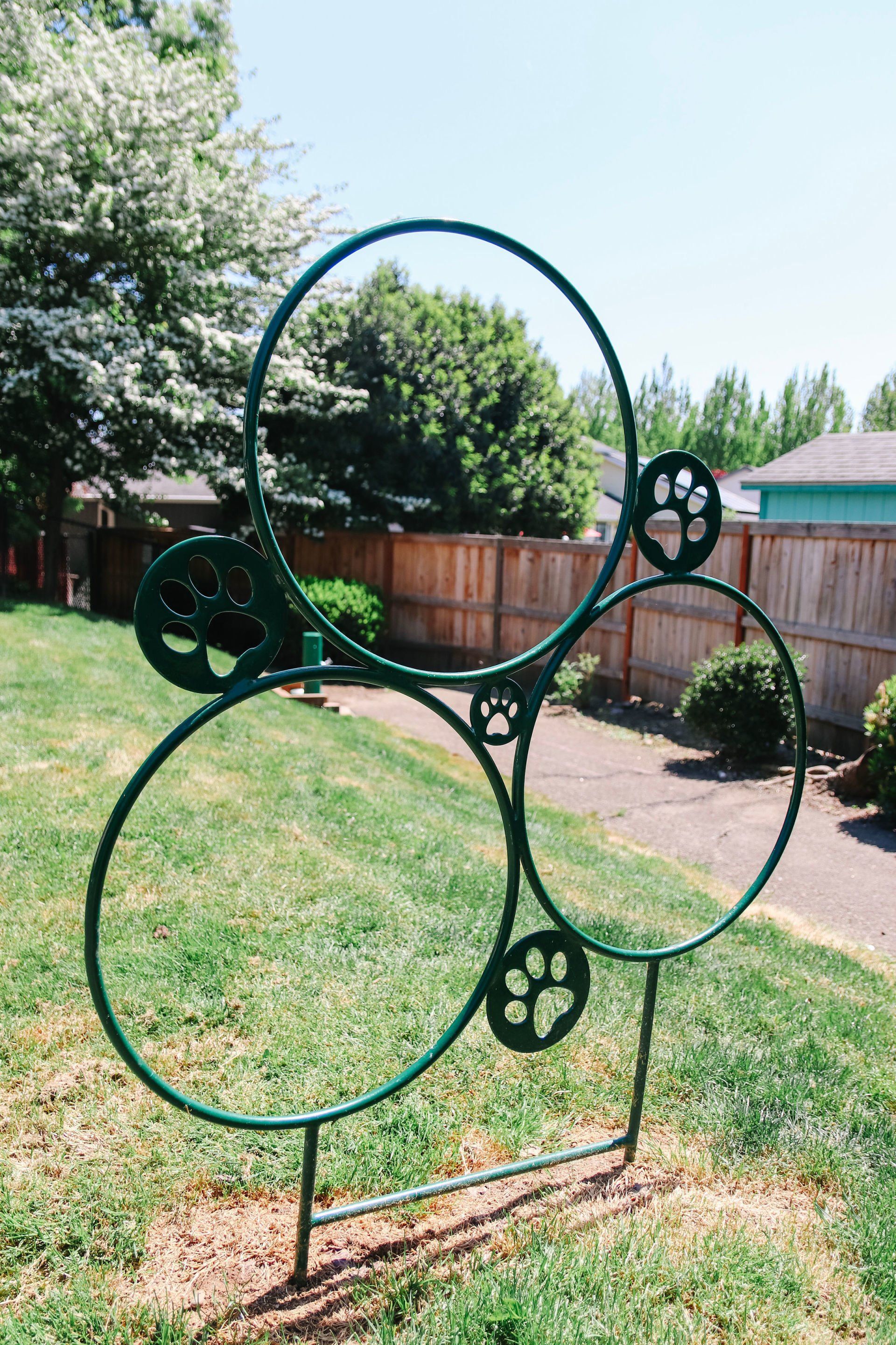 Powell Court Gallery