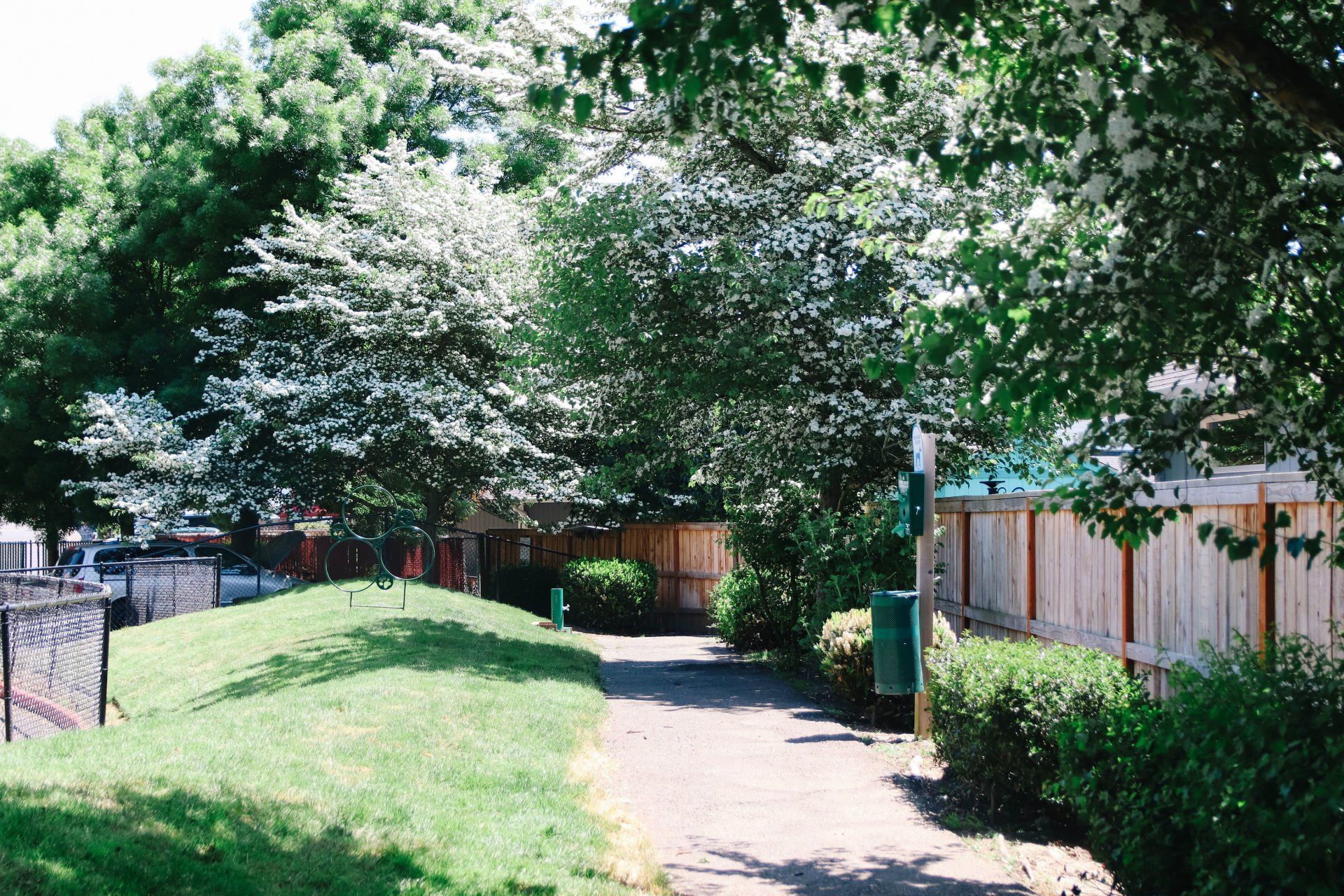 Powell Court Gallery