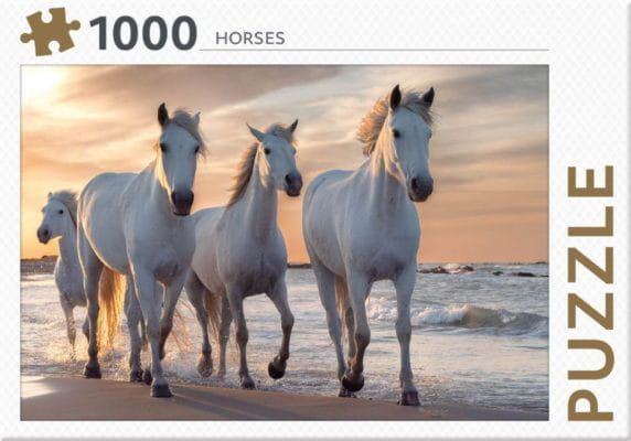 Een puzzel met vier witte paarden op het strand