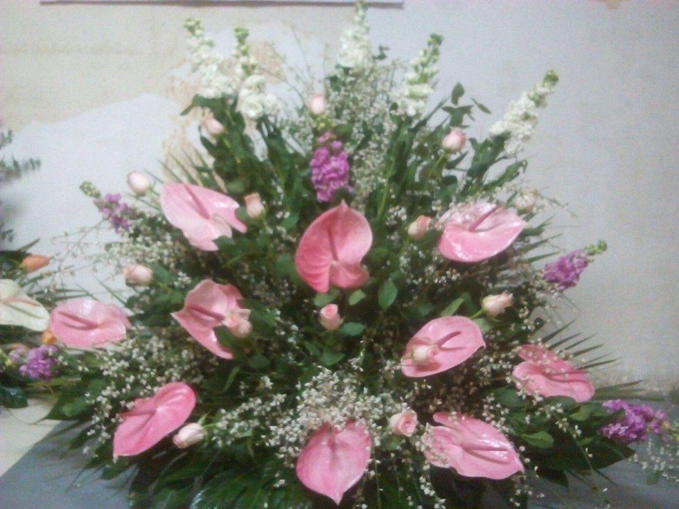 fiori rosa viola bianco