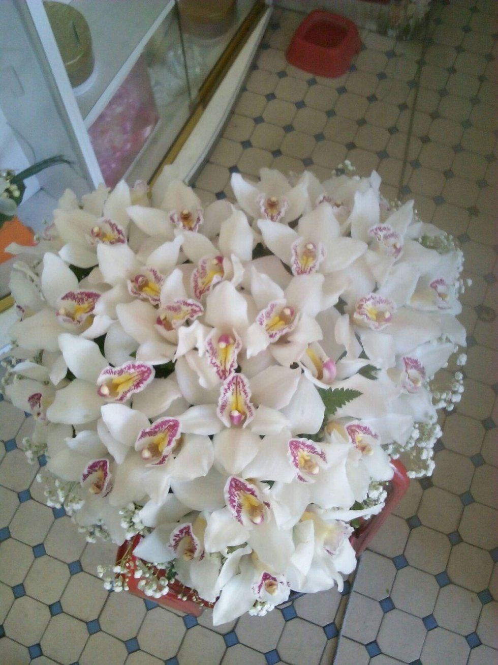 cuore fiori bianchi