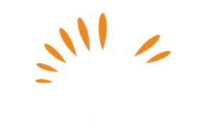 Amber Dental 
