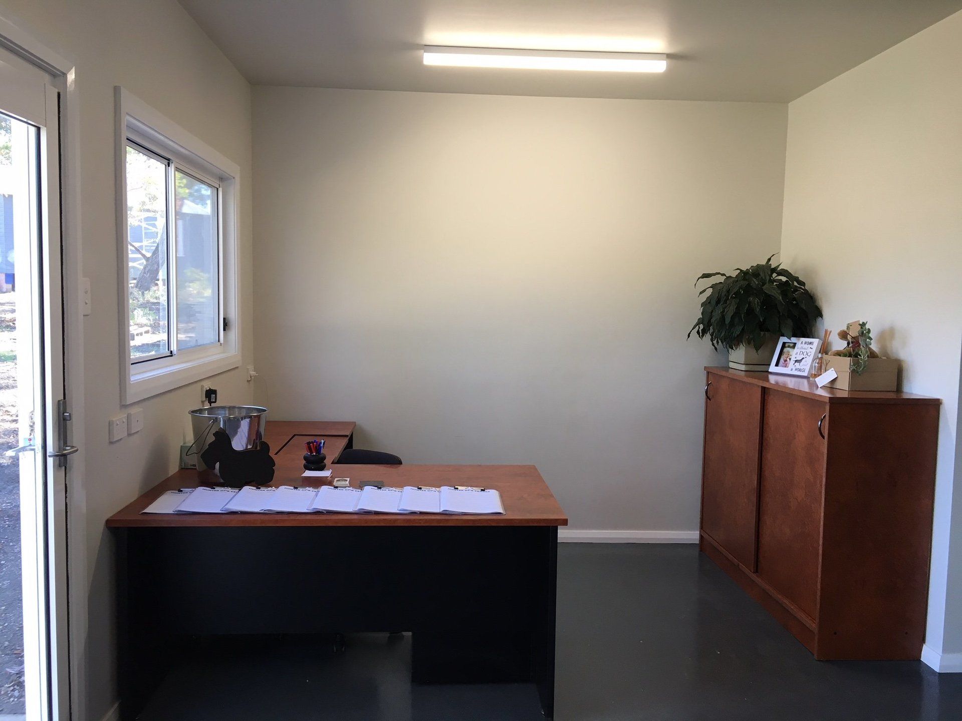 dog-with-colorful-balls