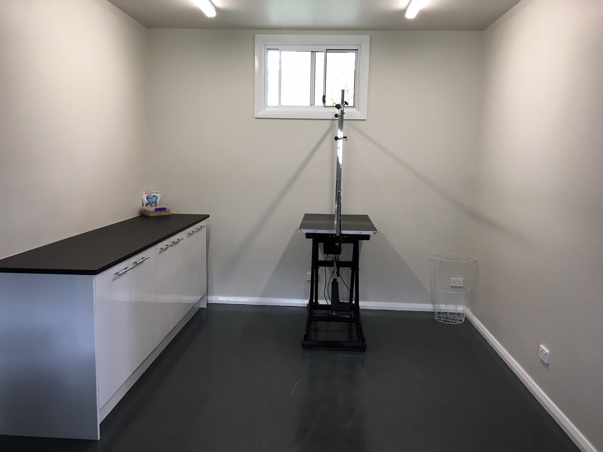 dog-playing-with-ball