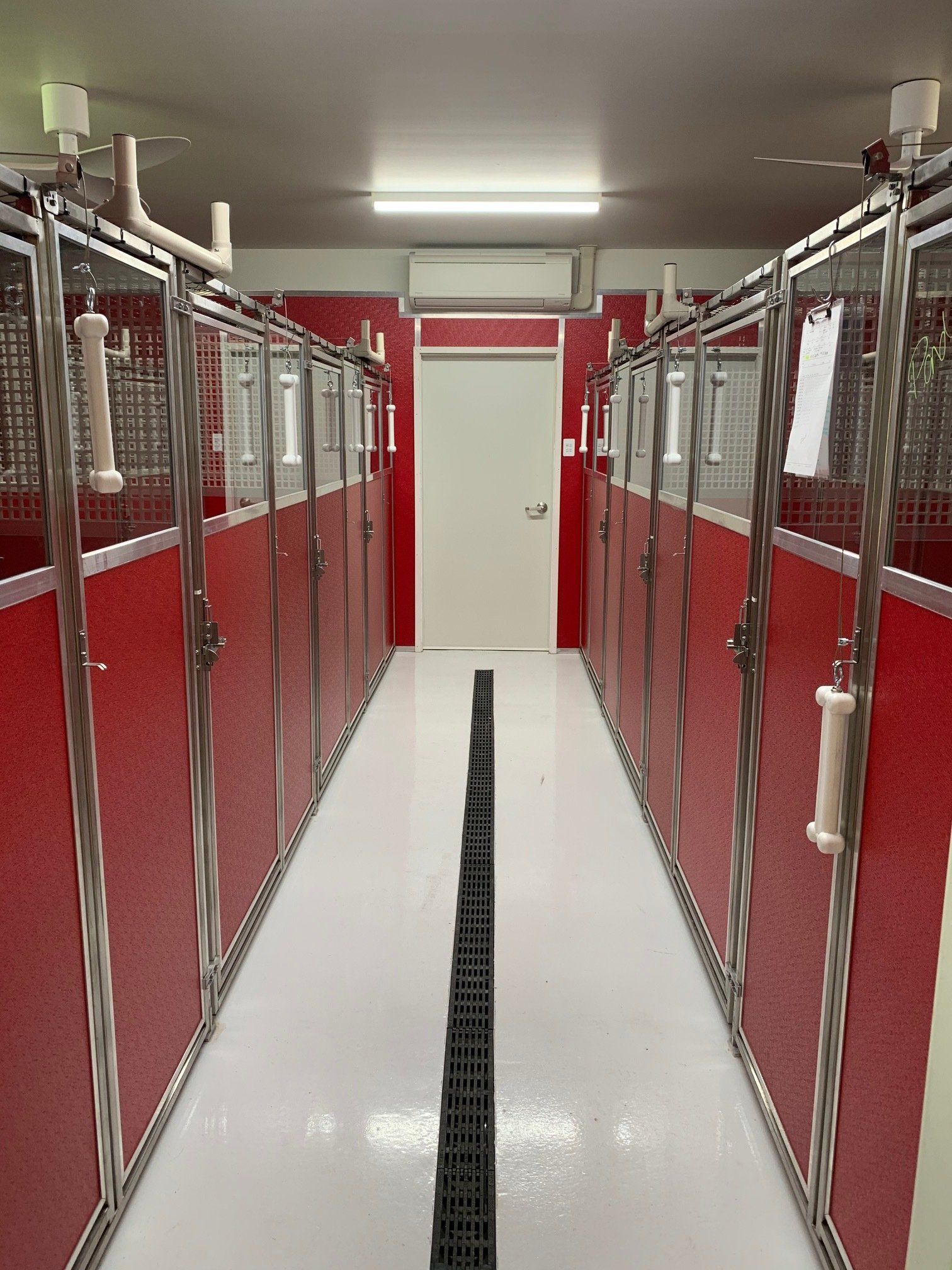 Dog Boarding & Daycare in Lake Macquarie, Newcastle Hunter Dog Centre