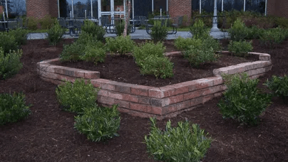 Oriole Landscaping | Landscaping Richmond VA oriole-landscaping-landscaping-richmond-va