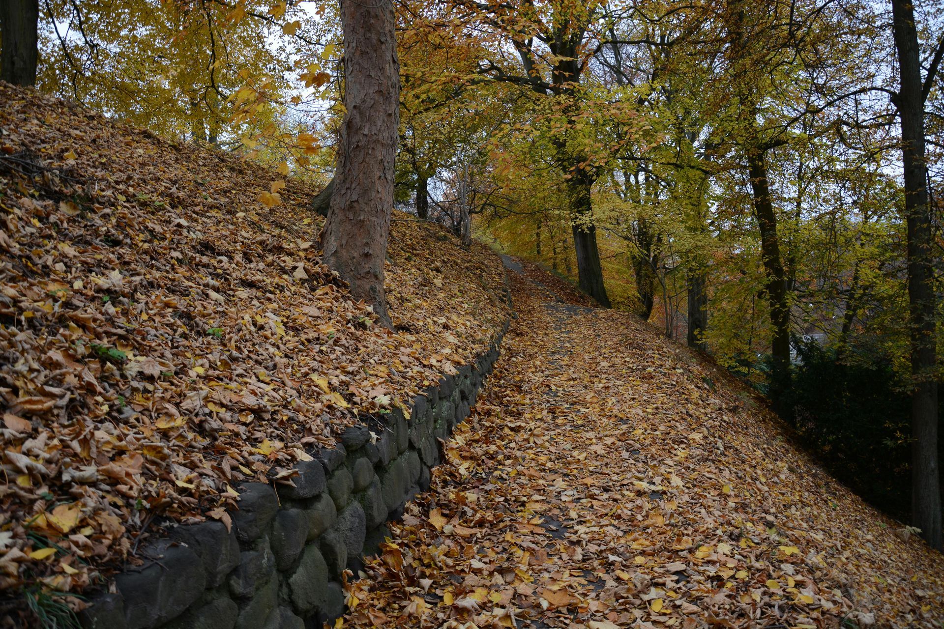Leaf and Snow Removal Services in Virginia - Oriole Landscaping - Richmond VA
