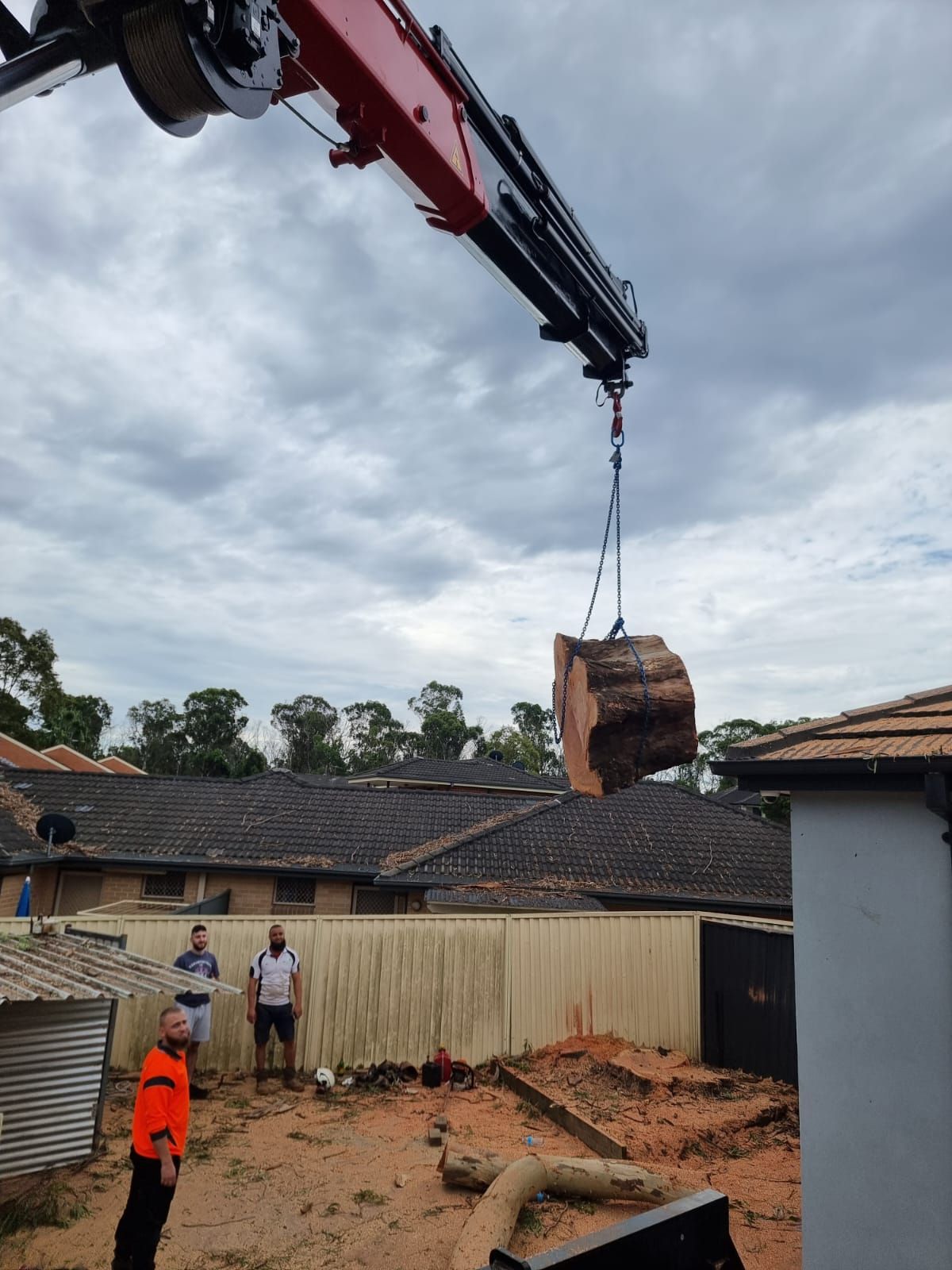 Lifting Tree Trunk — Sydney, NSW — Level8 Cranes