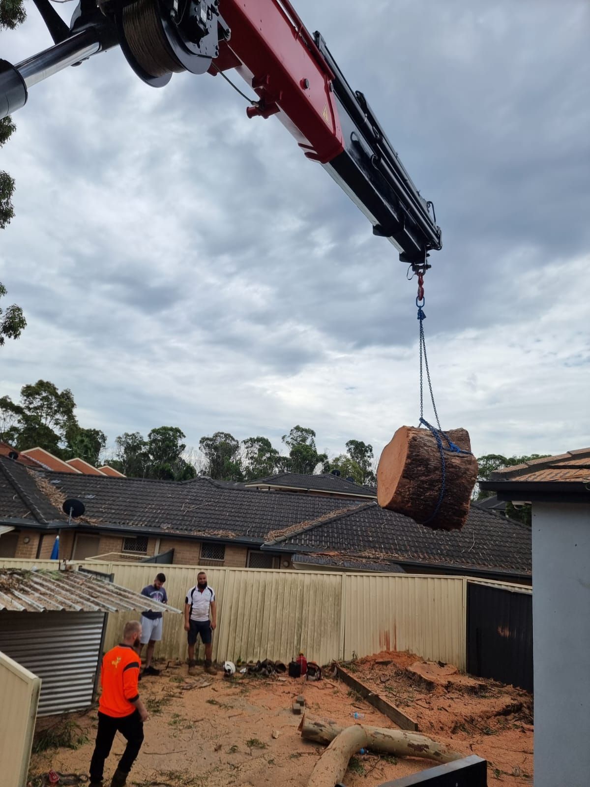 Tree Trunk Moving — Sydney, NSW — Level8 Cranes