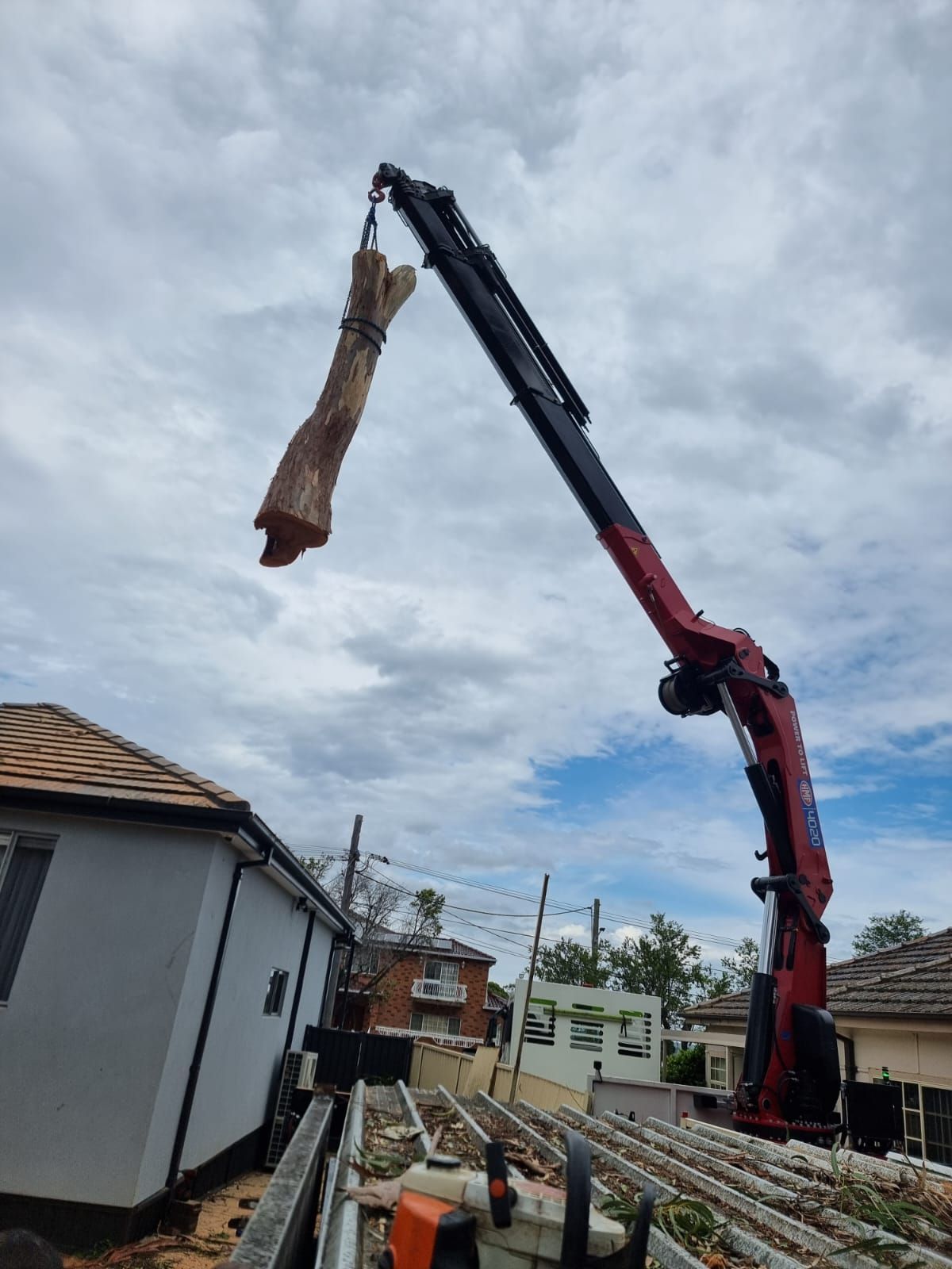 Huge Tree Trunk — Sydney, NSW — Level8 Cranes