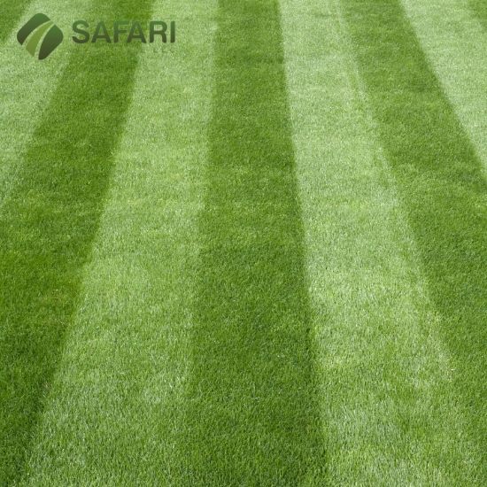 Boise Lawn Care Services by Safari Lawn Care