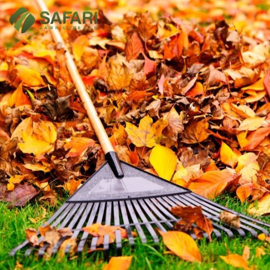 Fall Lawn Care in Boise - Safari Lawn Care