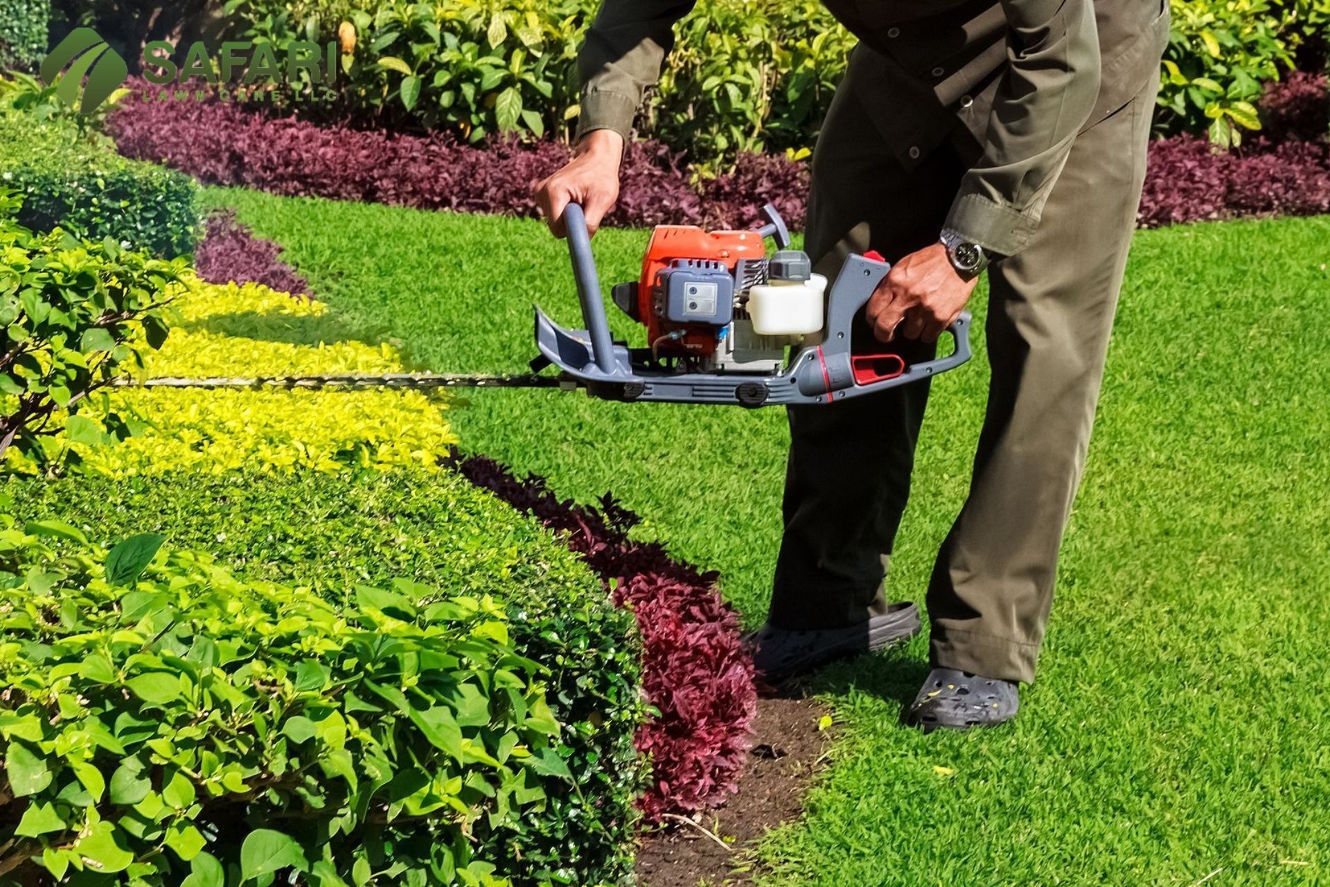 Hedge Trimming Boise Idaho