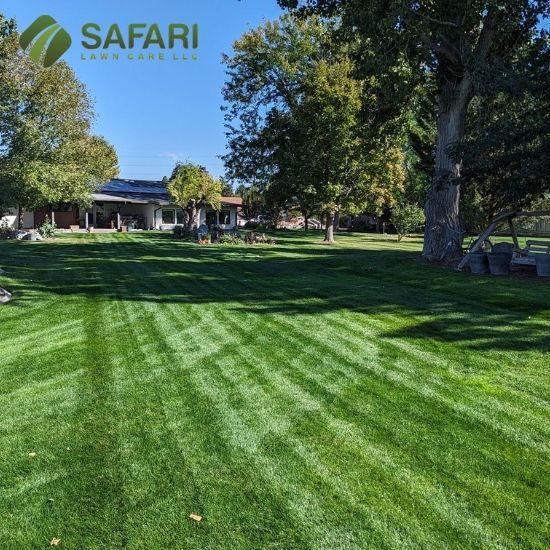 Lawn Care Services in Boise Idaho