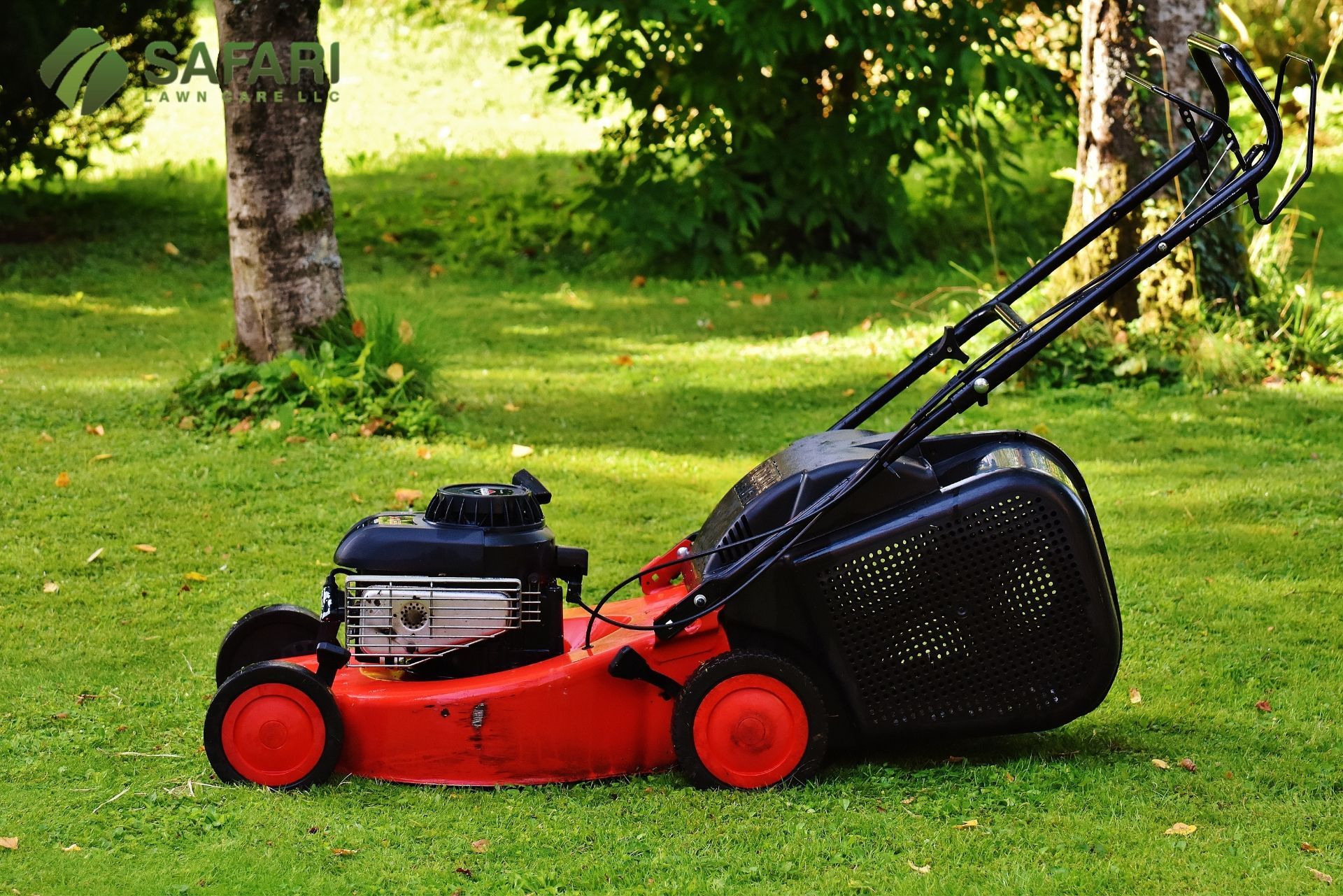 Lawn Care Services in Boise, ID - Safari Lawn Care