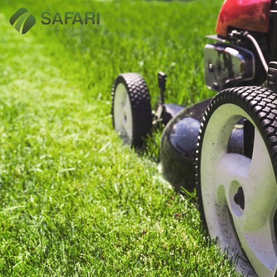 Lawn Care Services in Boise, Idaho - Safari Lawn Care