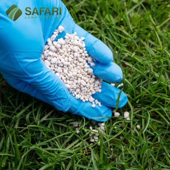 Lawn Fertilization in Boise, ID - Safari Lawn Care