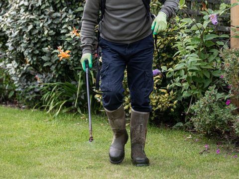 Lawn Fertilization & Weed Control