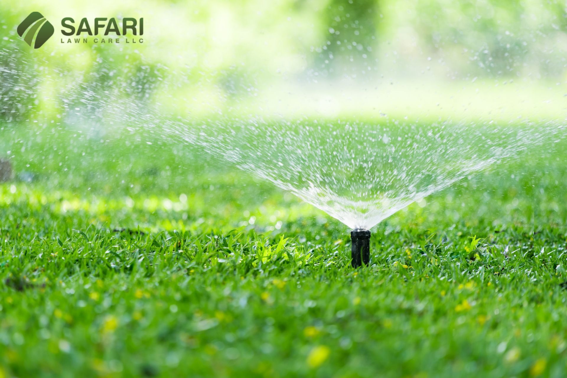 Lawn Watering in Boise ID - Safari Lawn Care
