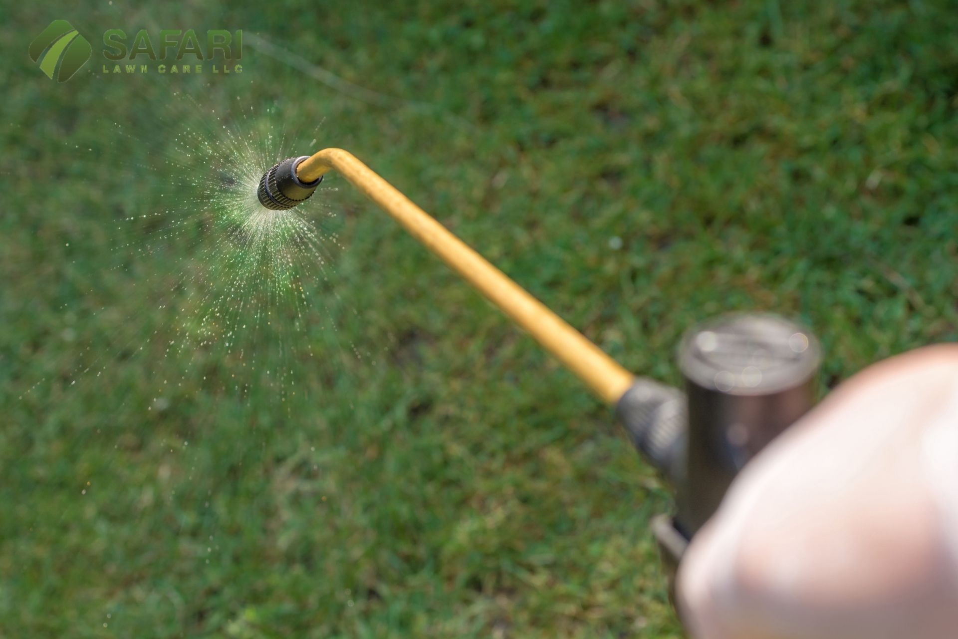 Managing Lawn Pests in Boise Idaho - Safari Lawn Care