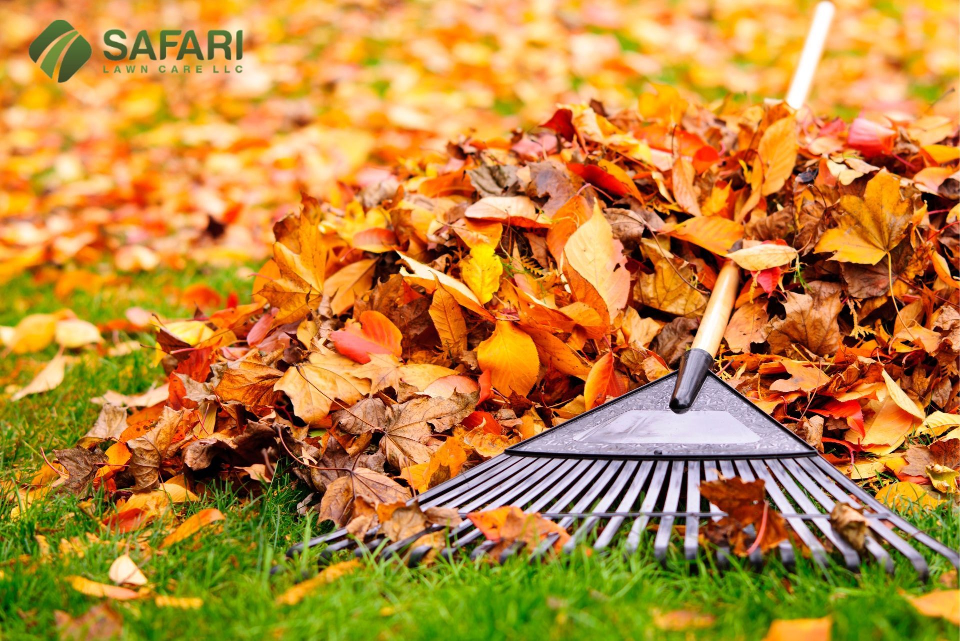 Preparing Your Lawn for Fall in Boise - Safari Lawn Care