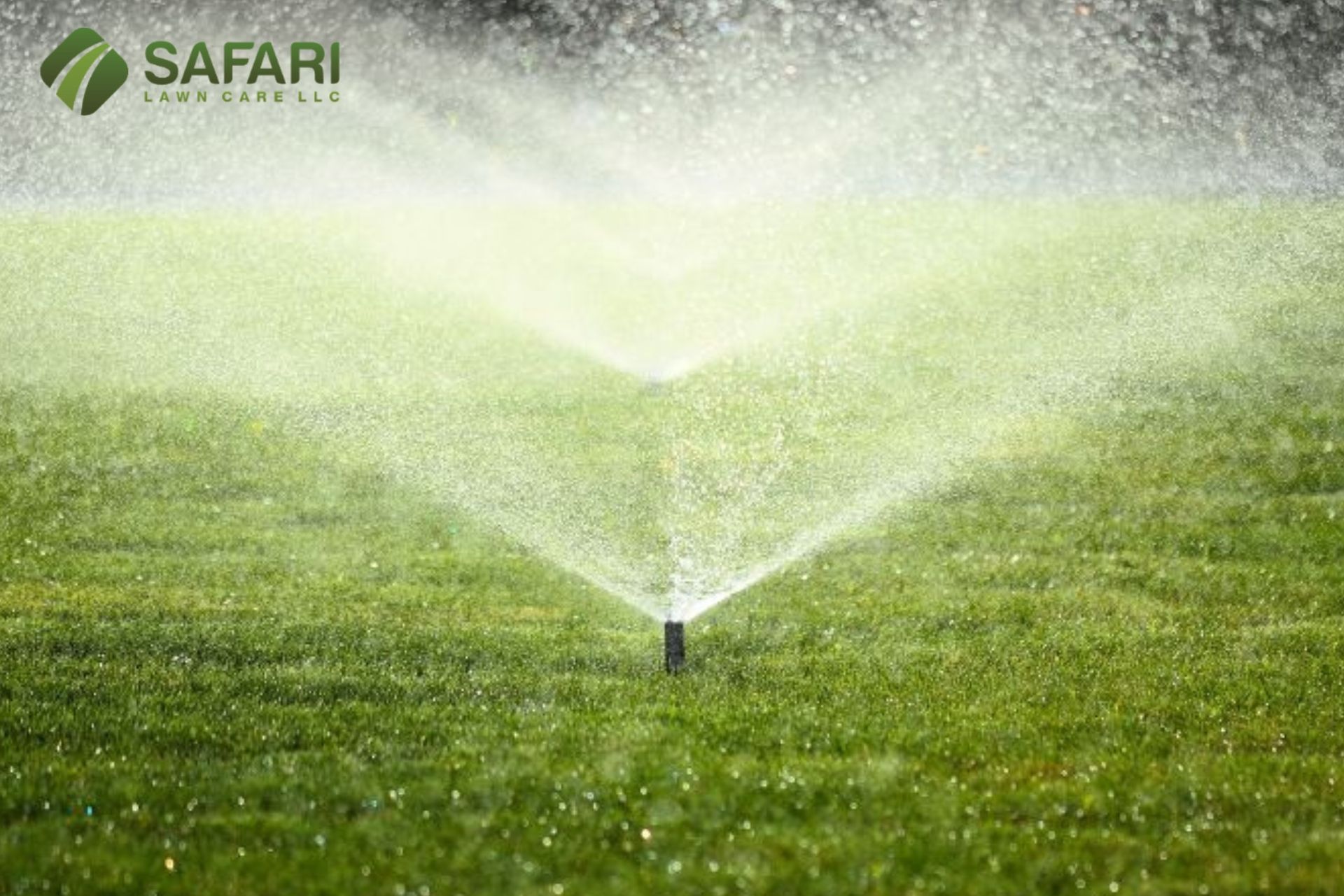 A sprinkler system from Safari Lawn Care LLC waters a lush green lawn.