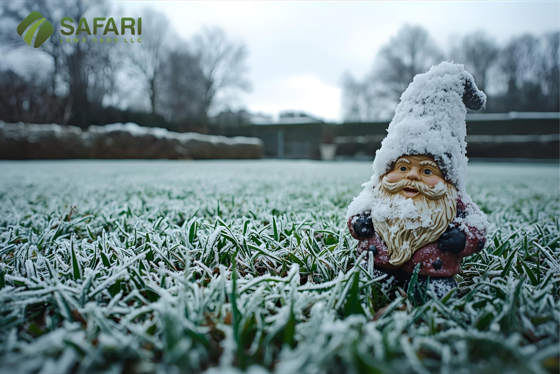 Winterizing Your Lawn in Boise - Safari Lawn Care