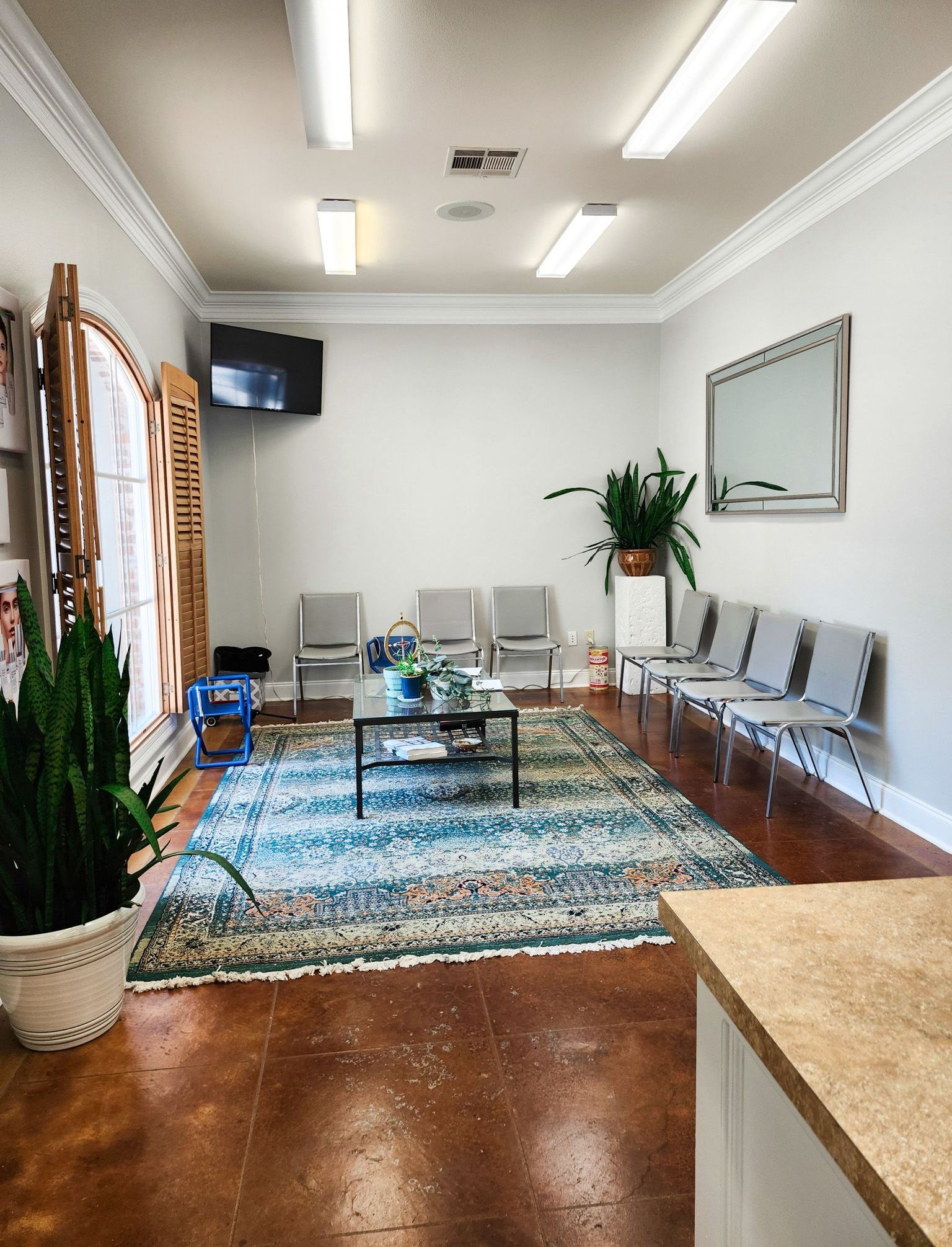 A waiting room with chairs , a coffee table and a plant.