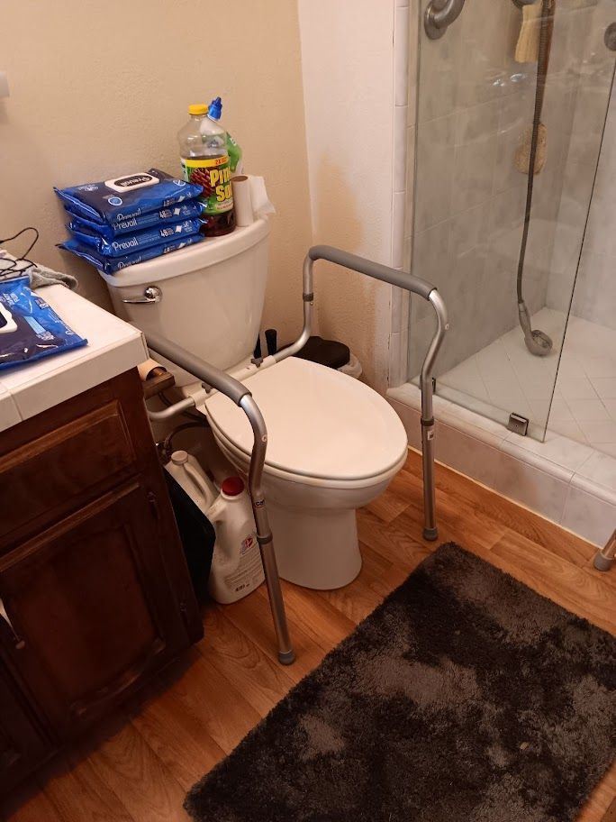 Bathroom with raised toilet seat, grab bars, shower, and dark brown rug.
