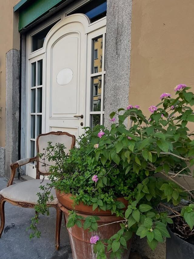 Una sedia vintage, una pianta in vaso e una porta bianca con i vetri delle finestre. Edificio con facciata gialla.