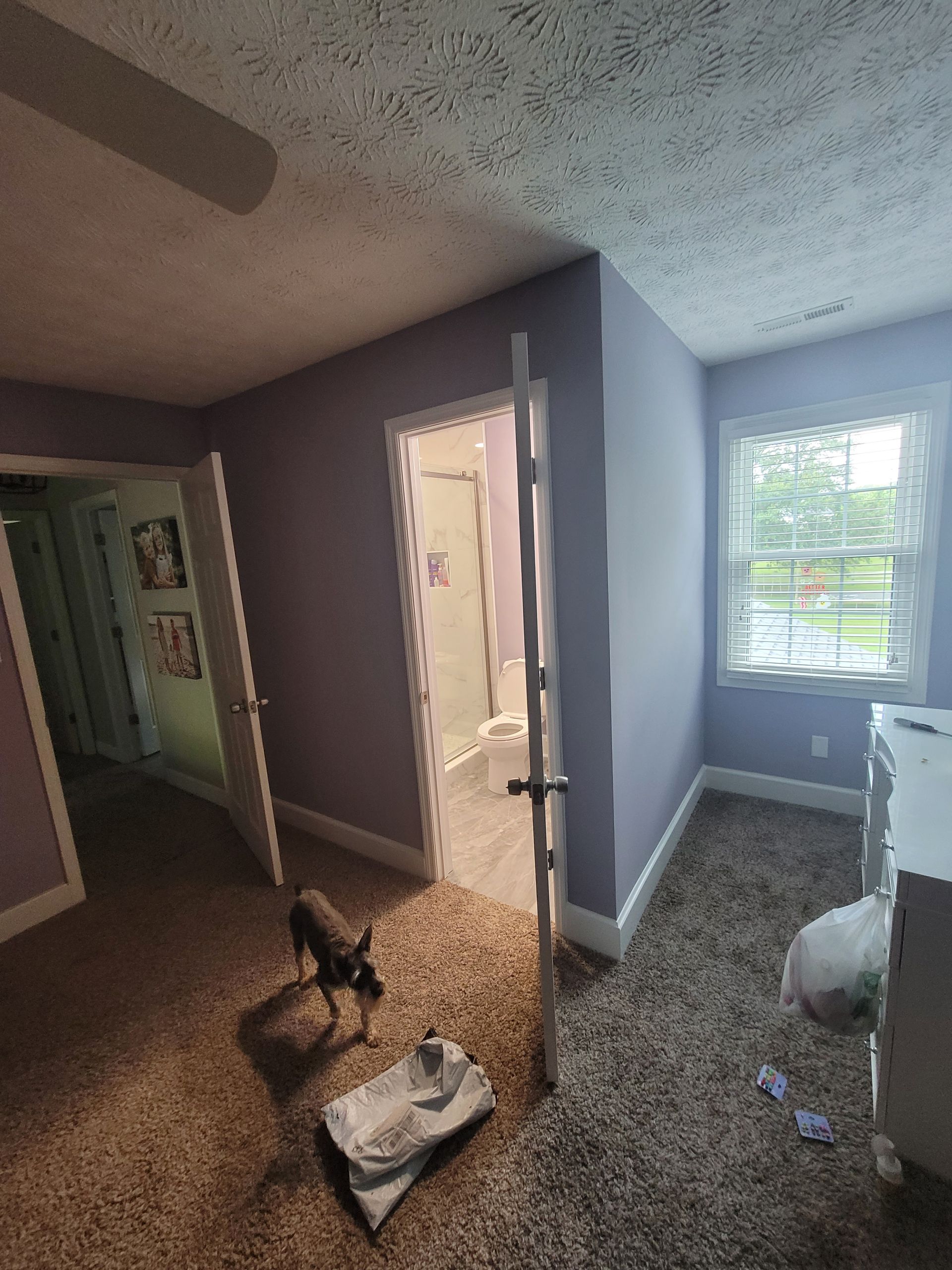 A small room with purple walls, carpeted floors, a window, a small dog standing on the floor, and a view into a bathroom.