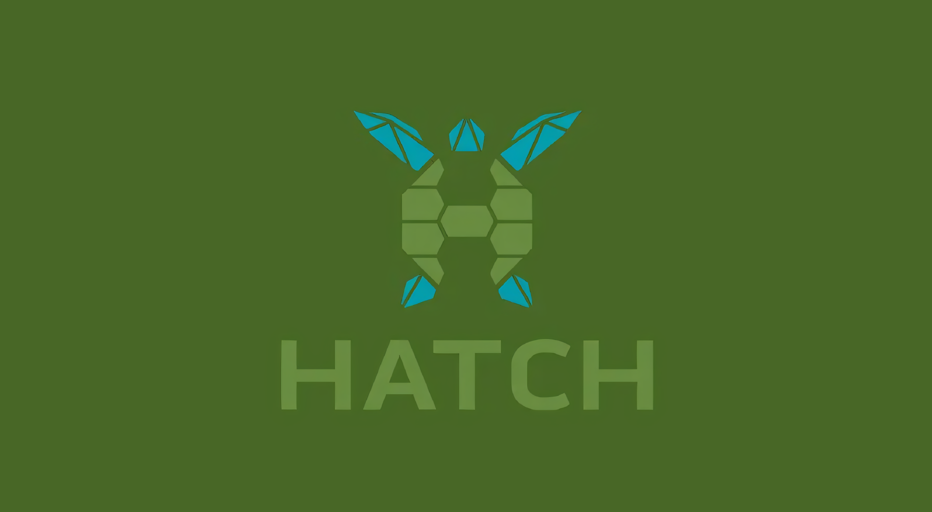 A logo with a turtle and the word hatch on a green background.