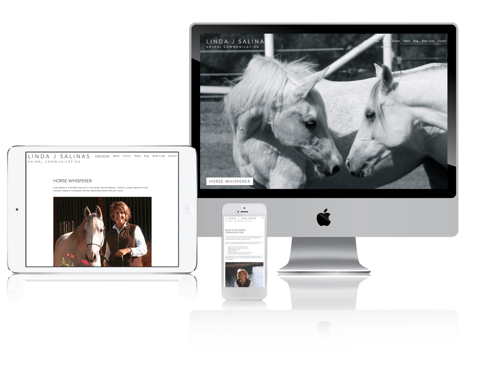 Squarespace for Animal Lovers