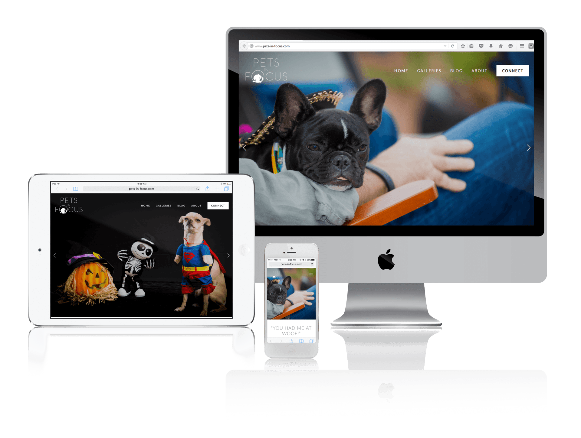 Squarespace for Pet Photography