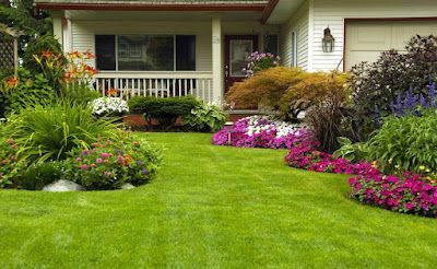 A house with a lush green lawn and flowers in front of it.
