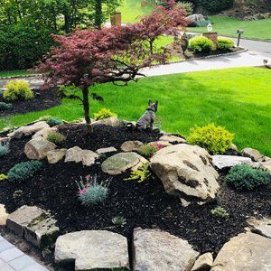 A dog is sitting in the middle of a rock garden.