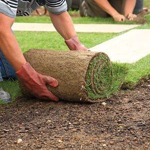 A man is rolling a roll of grass on the ground.