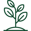 A line drawing of a plant growing out of the ground.