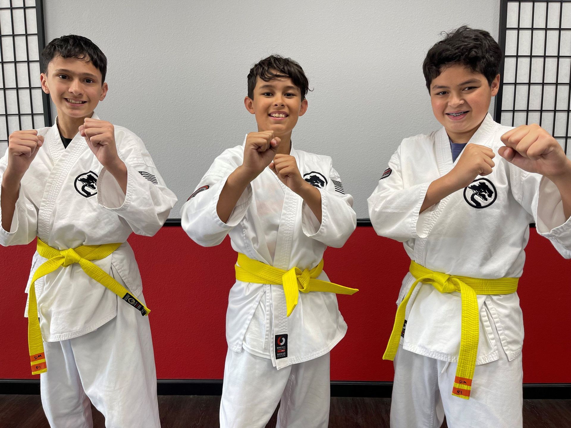 3 young male kids in wearing karate uniform