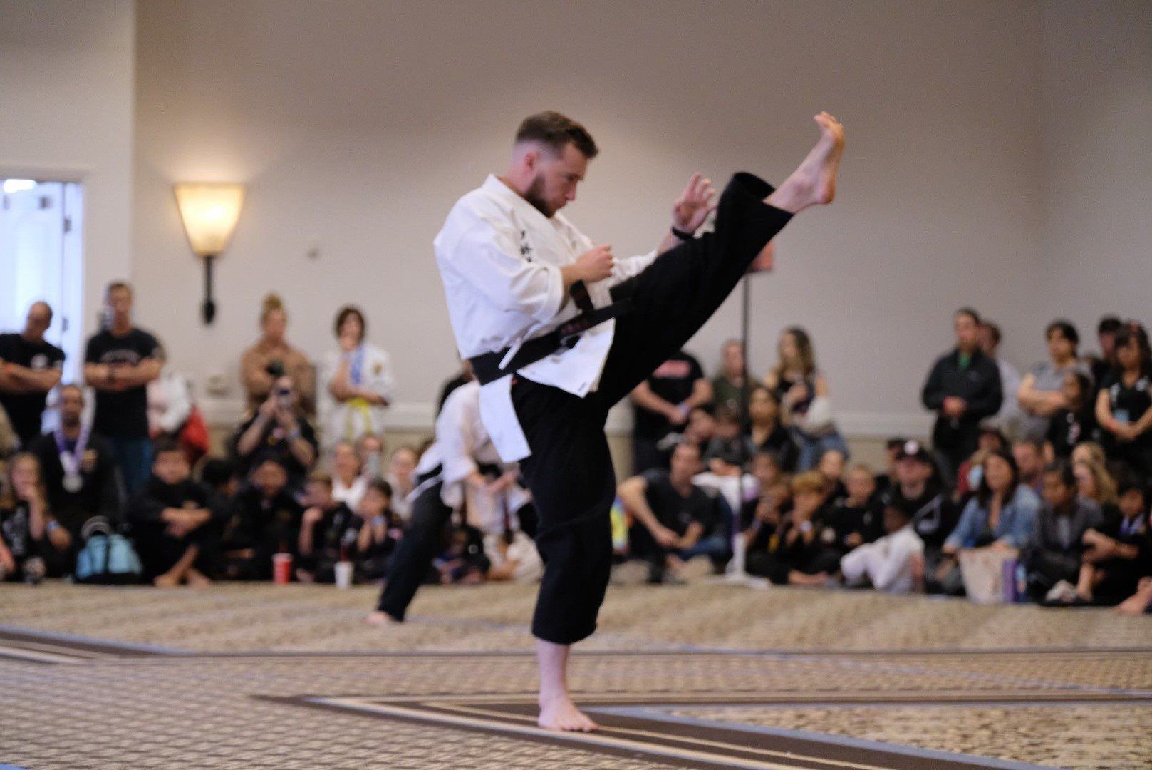 Adult guy showing his karate skills